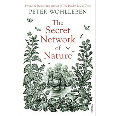 HIDDEN LIFE OF TREES,THE(B) /VINTAGE BOOKS UK/PETER WOHLLEBEN